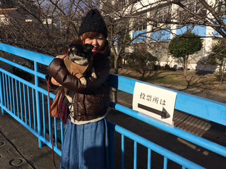 写真 12.JPG